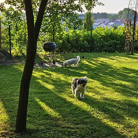 Gesindehaus Charis Nahe Europa Park Mit Eingezaeuntem Garten Ideal Fuer Hunde Paare Und Familien Nyaraló *
