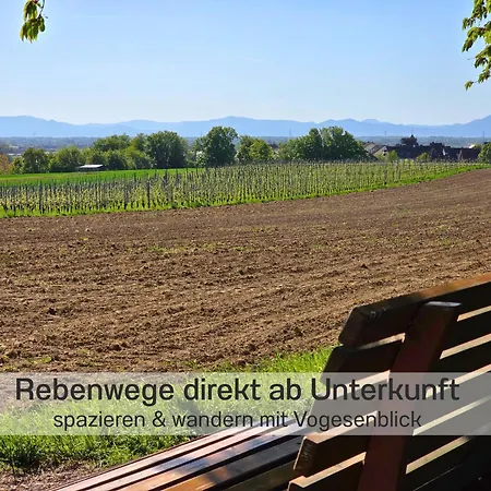 Gesindehaus Charis Nahe Europa Park Mit Eingezaeuntem Garten Ideal Fuer Hunde Paare Und Familien Kippenheim